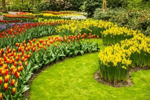 keukenhof - Πάρκο με τουλίπες στην Ολλανδία